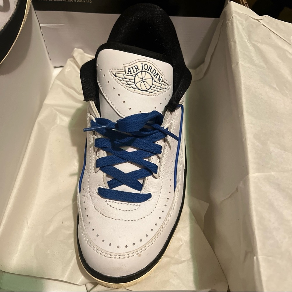 Nike Air Jordan White and Blue Athletic Shoes